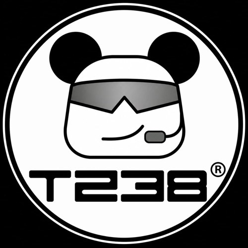 T238